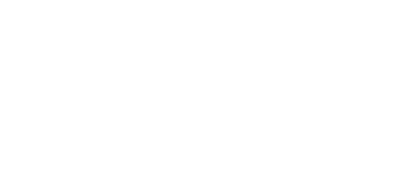 Digix Plus | Digital eXcellence